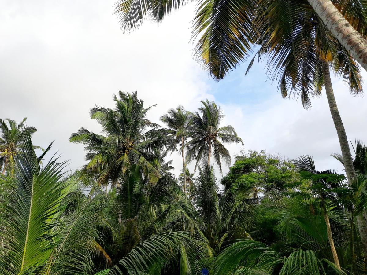 Chao Beach Villa 阿杭格默 外观 照片